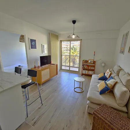 Le Repaire Des Palmiers - T2 En Centre-ville Avec Parking Et Piscine Appartement