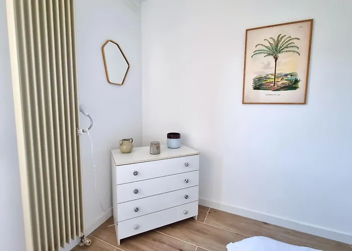 Le Repaire Des Palmiers - T2 En Centre-ville Avec Parking Et Piscine