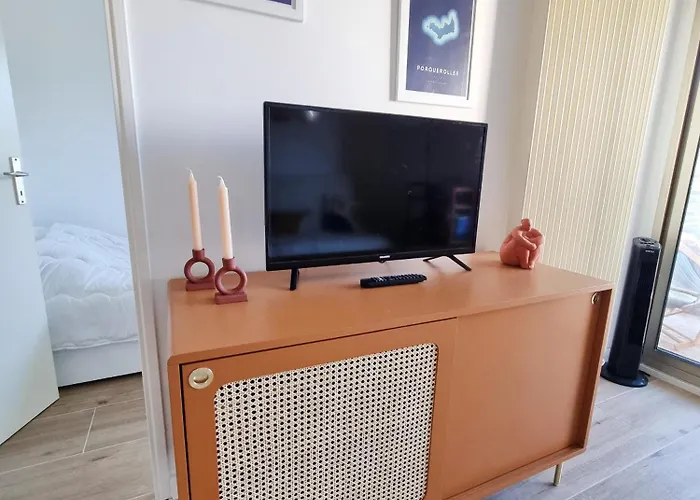 Le Repaire Des Palmiers - T2 En Centre-ville Avec Parking Et Piscine Apartamento *